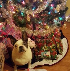 Meet your Posher, Hope